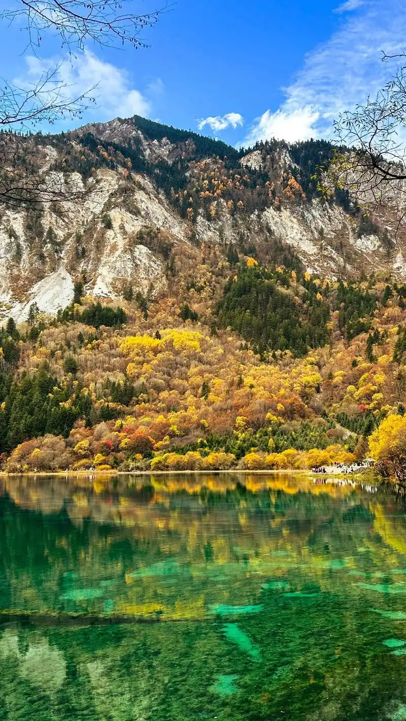 壁纸 风景 1440_2560 竖版 竖屏 手机