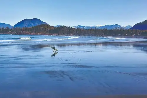 2020年加拿大旅游最火是哪?一半人说去这里