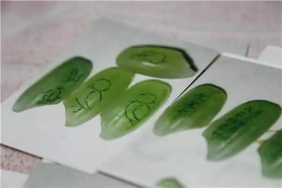 甘肃耄耋老人微雕60载米粒上刻字显真功