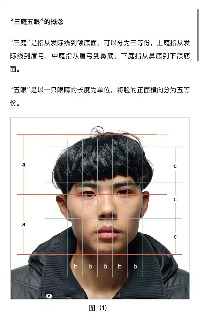 美术生干货,持续分享…素描头像的三庭五眼知识点#美术生 #素 - 抖音