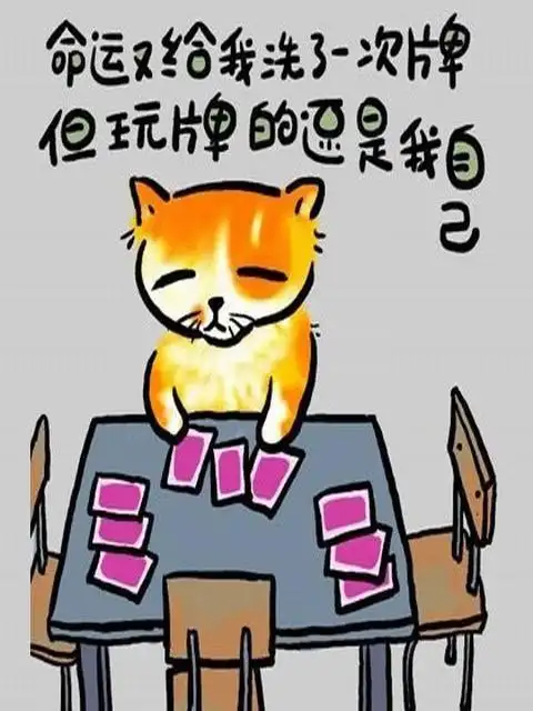 让你笑翻肚子的搞笑语录壁纸480x640-唯美图库