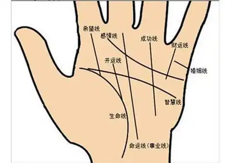 邑蓝天首页 女人面相 手相面相 十大富贵手相 >> 正文  有富贵命的