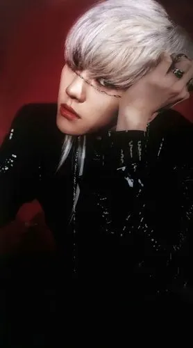 边伯贤护短姐姐的病娇弟弟