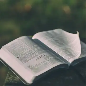 一本翻开的书头像