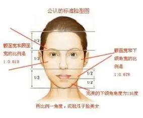 "美女脸部黄金比例"是由美国和加拿大研究团队于2009年年末计算出的