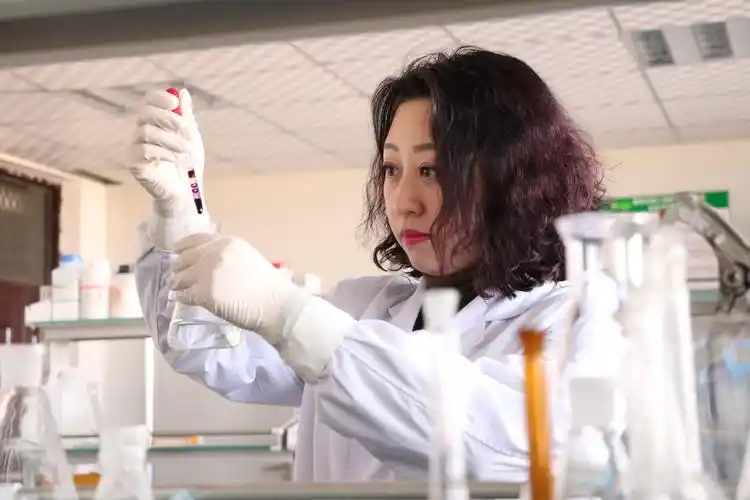 王颖教授在做实验