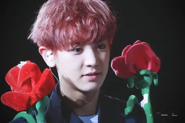 朴灿烈#160214洛杉矶演唱会