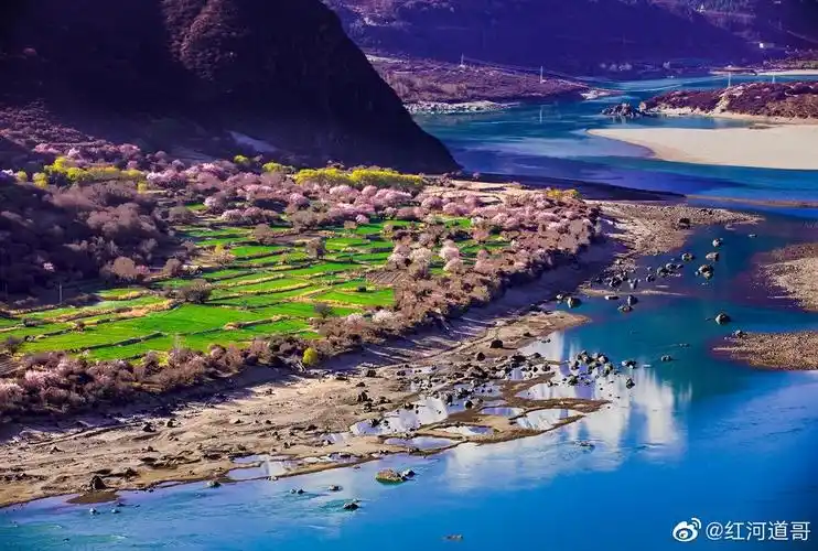 2021年3月18日川藏线林芝最美桃花