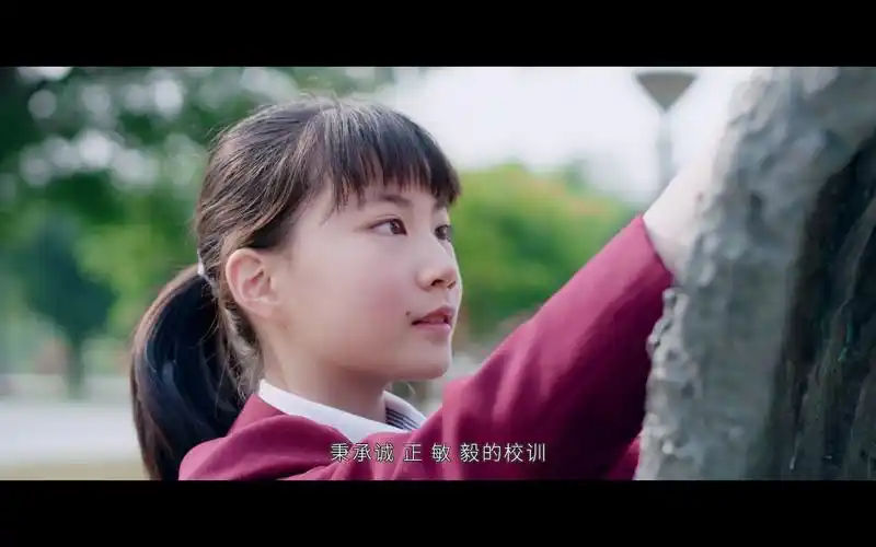 庆来学校宣传片