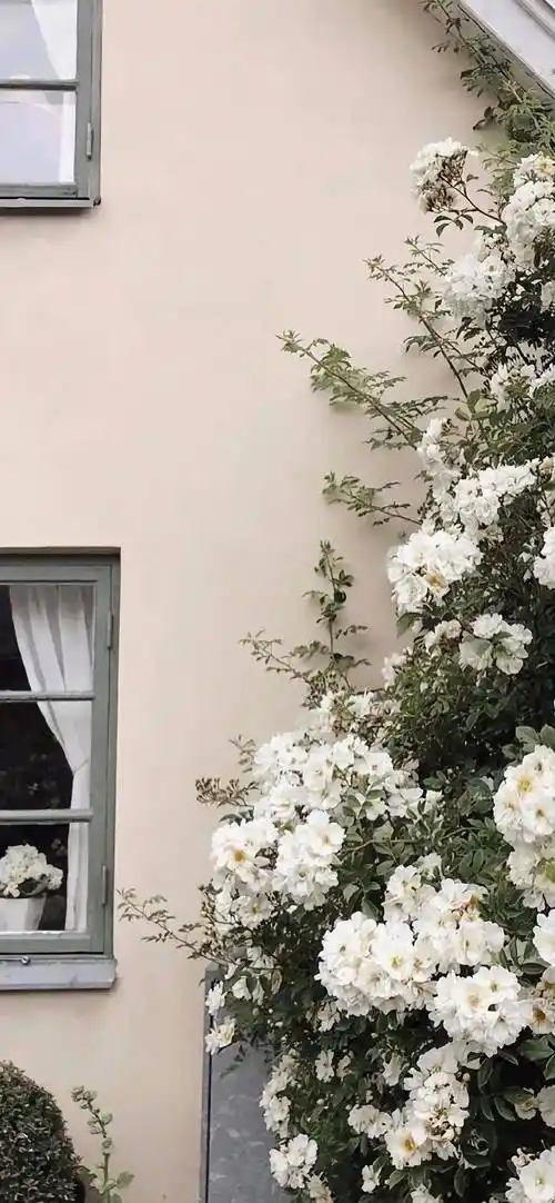 ins封神8k高清质感手机壁纸