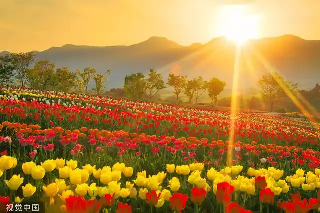 云南自然风光秀美,民族风情浓郁,被誉为"植物王国","动物王国"和"世界