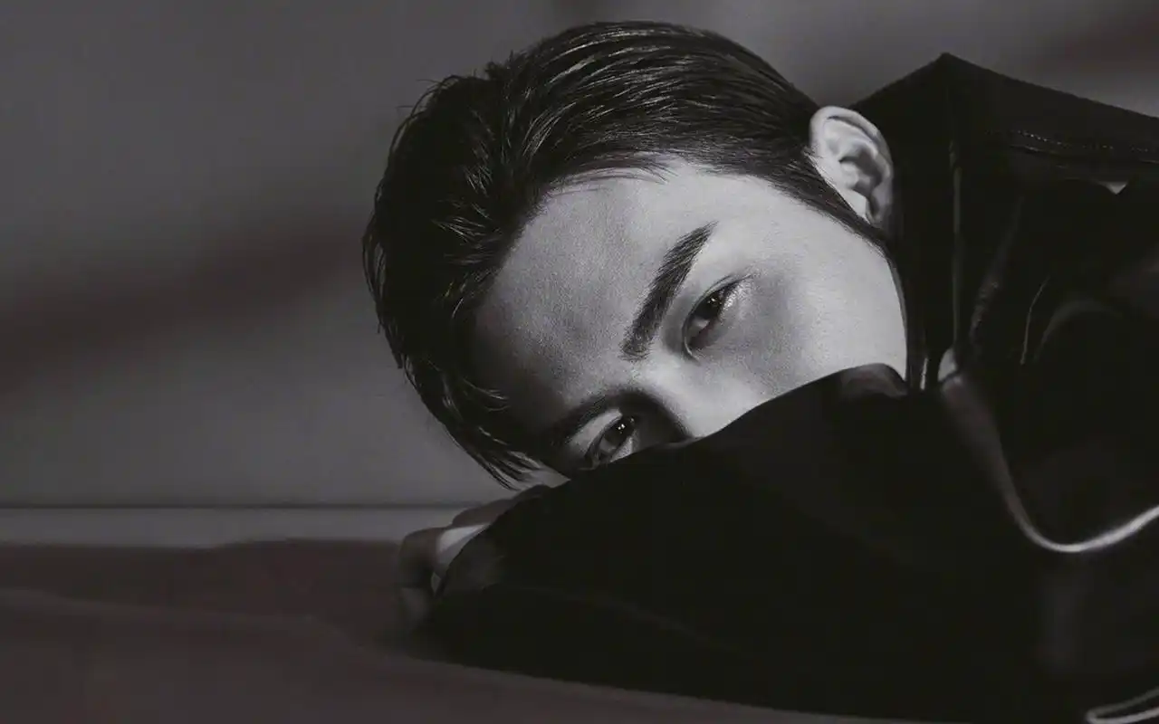 儒雅型男张彬彬帅气逼人写真桌面壁纸