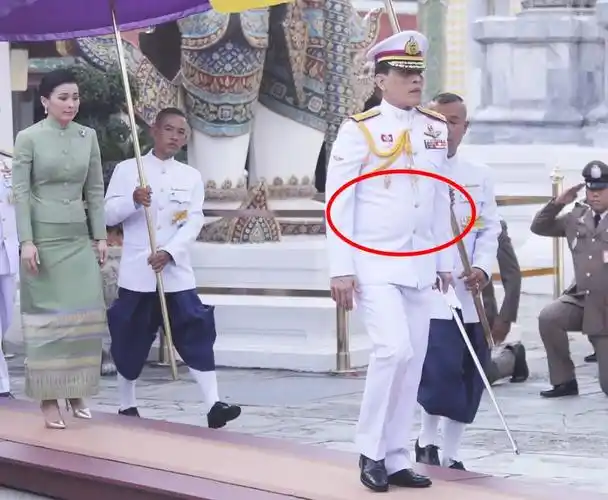 68岁泰王疑似穿防弹背心,防止自己被刺杀,凌晨3点匆匆溜回欧洲