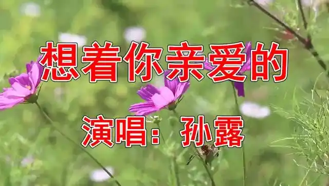 伤感情歌!孙露一首《想着你亲爱的》超好听!