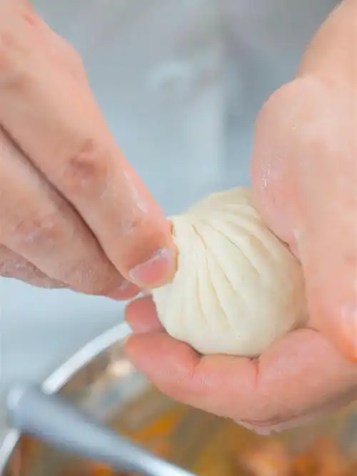 一看就会的包包子手法