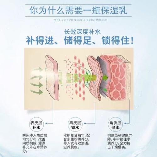 华彩世纪保湿乳美肌爽肤水清爽型深层补水抗氧化细胞修复提升紧致