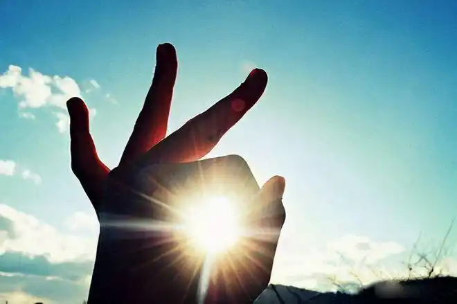 [04pro03fa01l]外形;轮廓;面部侧影profile photo头像把头像