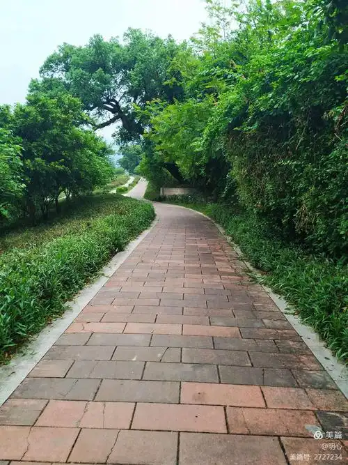 觅蝉溪谷 步道悠行(原创短诗7首) - 美篇