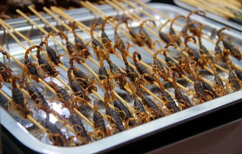 合肥罍街惊现超恐怖昆虫宴巨型蜈蚣烤串你敢品尝吗