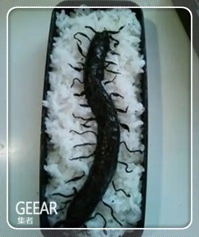 恶心到让人吃不下的恐怖便当你要敢吃我就管够