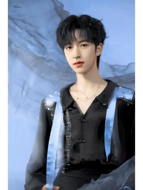 贺峻霖的锁骨00