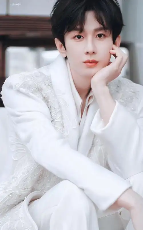 成毅真丝镂空内搭