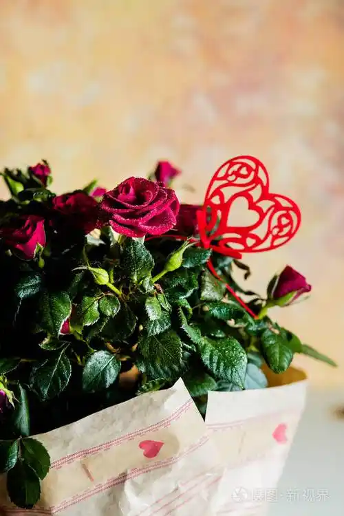 可爱的一束鲜花.美丽清新的玫瑰装饰着一颗心.