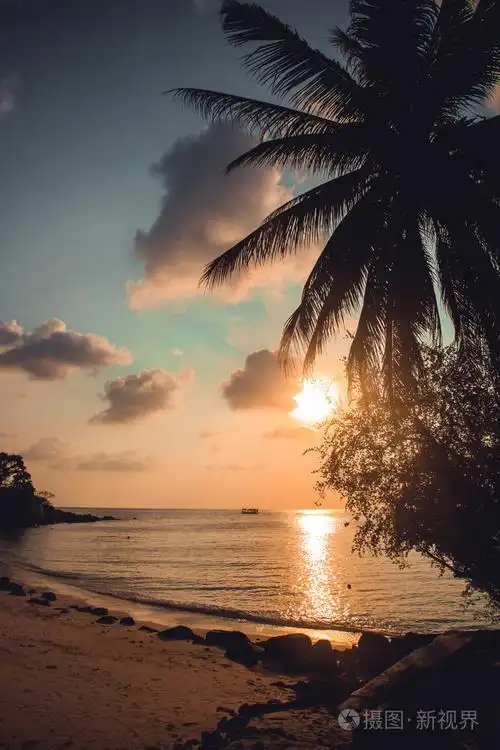美丽的夕阳,在热带的海滩和棕榈树.帕岸岛