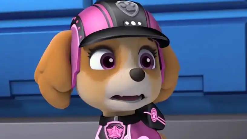 汪汪队立大功 第四季:毛毛珠珠水上救援 简直酷呆 - 高清视频在线观看