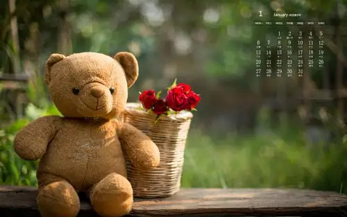 2020年1月可爱泰迪熊图片日历壁纸