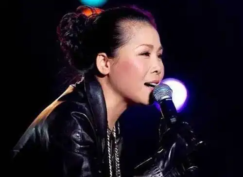国内嗓音沙哑的女歌手有哪些.