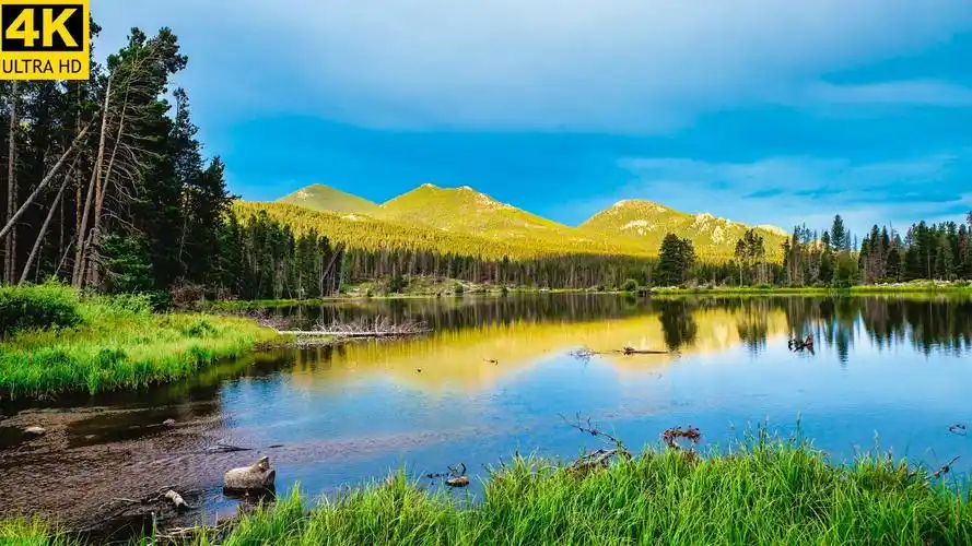 【ai人工智能极致4k】每一个画面都是一张绝美的壁纸