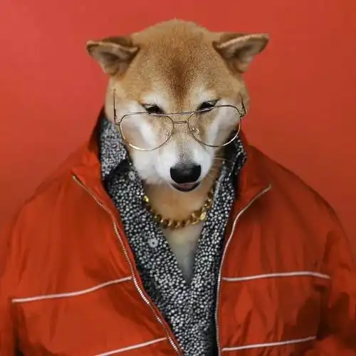 社会狗,戴金链,气势不凡