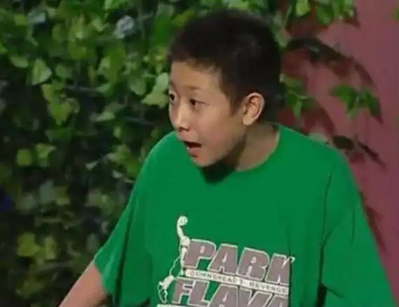 又看了一遍家有儿女那时候刘星的穿搭现在也毫不逊色