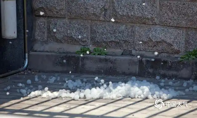 杨絮飘荡街头 京城即将进入飞絮期