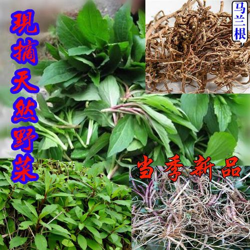 鱼秋草脾仔草路边菊新鲜潮汕脾草传统中草药余秋串马兰草无硫晒干