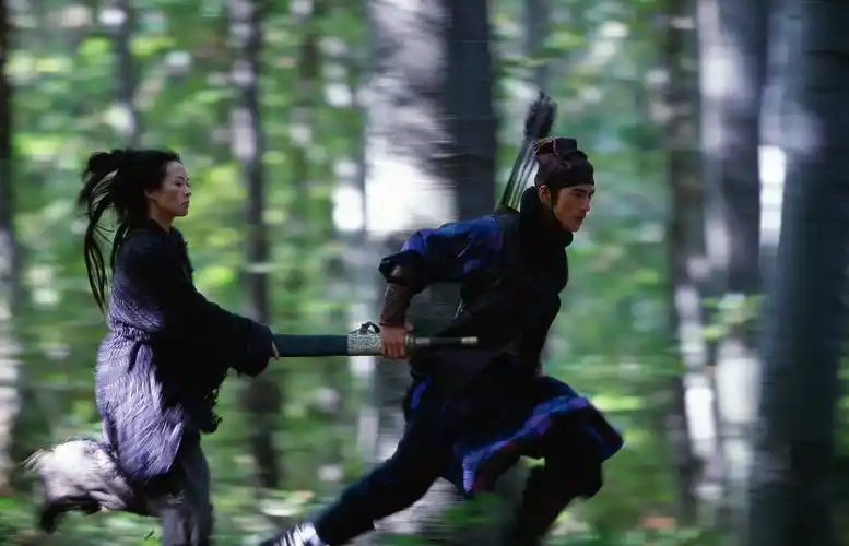 p>《十面埋伏》是北京新画面影业公司于2004年出品的一部武侠电影,由