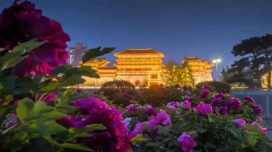 洛阳牡丹文化节指南_展览_诗词_活动