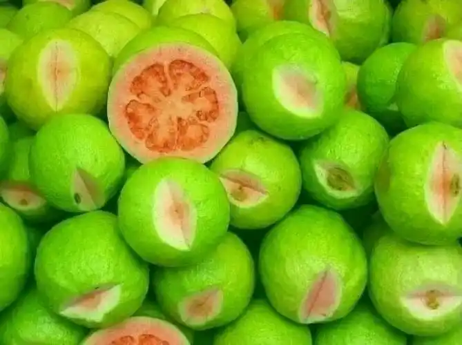 全球罕见的奇葩水果大扫盲你敢说都认识