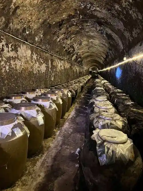 广州现5公里长的防空洞酒窖存放着上千吨百年老酒