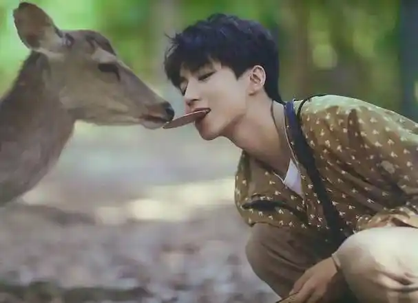 王俊凯遭遇摆拍风波偶像光环下的无奈与坚持引发关注