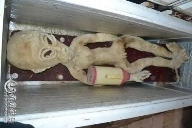 中国人抓住了一个外星人