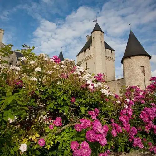 城堡里漂亮非凡的花园和庭园