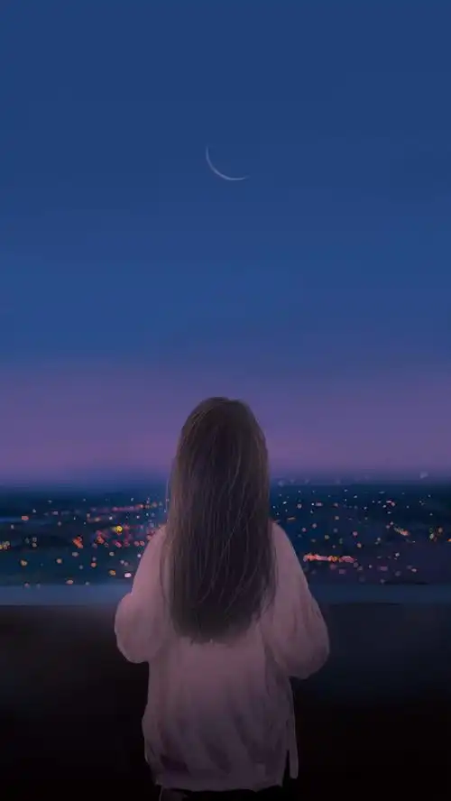 一个长发女孩的背影,他正望着灯火辉煌的城市,高清图片,手机壁纸