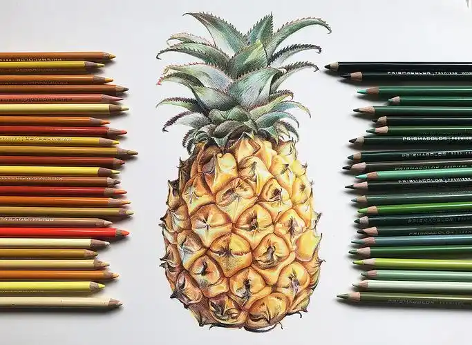 【耘之作】彩铅水果系列