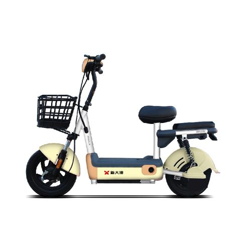 派乐palla电动车q1时尚轻便电瓶车48v13ah石墨烯电池小型电动自行车