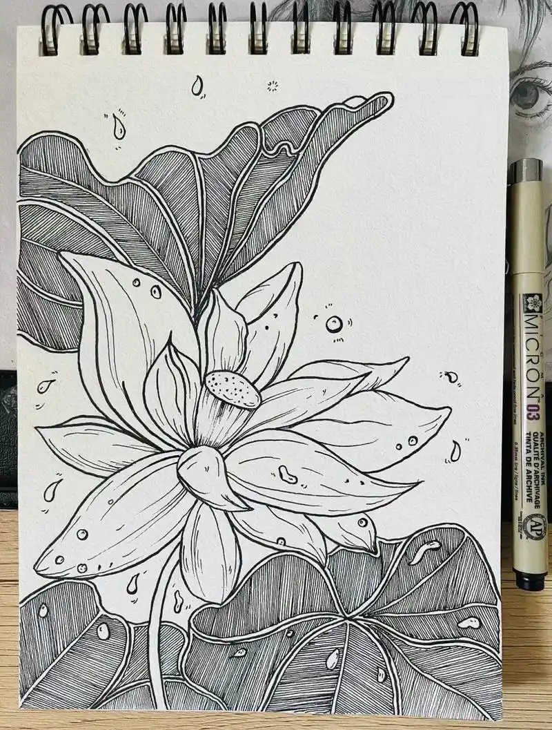 荷花·线描.#黑白线描画 #画画 #手绘 - 抖音