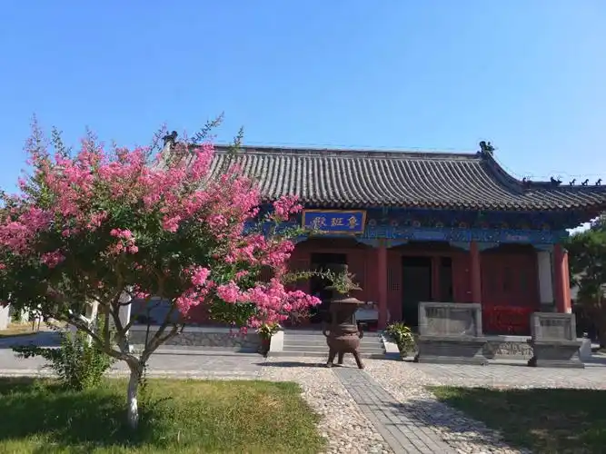 组图|夏映紫薇 幽梦岱庙