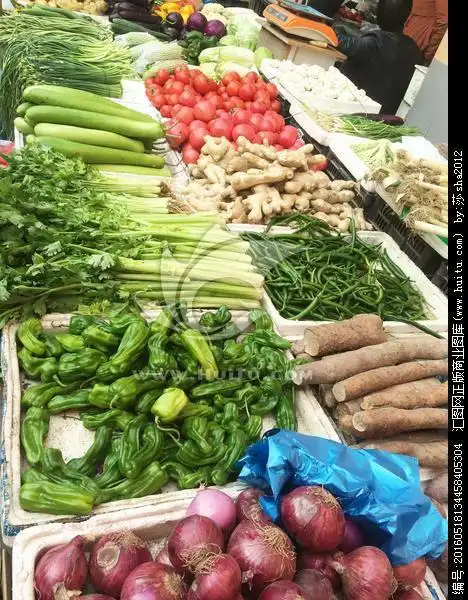 中港运河城幼儿园——迎五一"走进生活,走进菜市场"社会实践活动