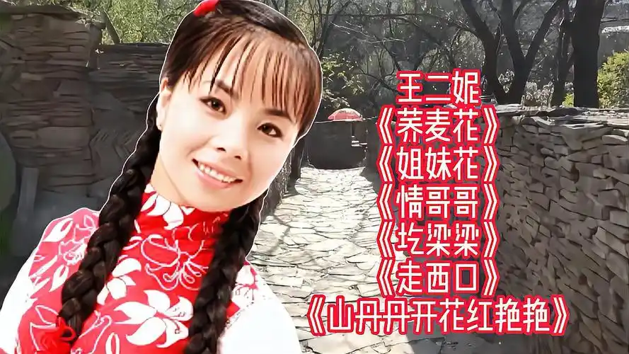 王二妮经典歌曲《荞麦花/姐妹花/圪梁梁/情哥哥》等